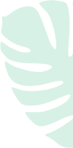shape